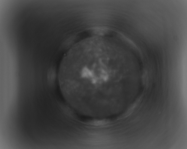 X0000100900314200807081108