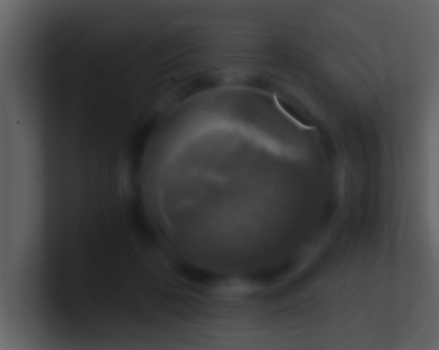 X0000100900316200807081108