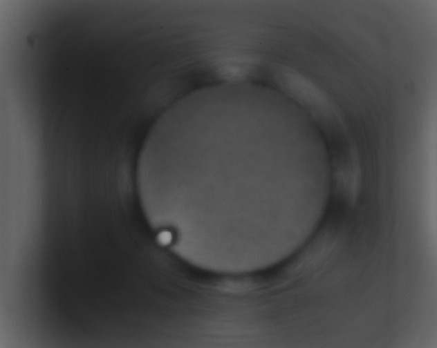 X0000100900317200807081108