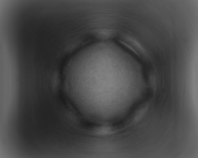 X0000100900318200807081108