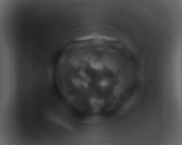 X0000100900319200807081108