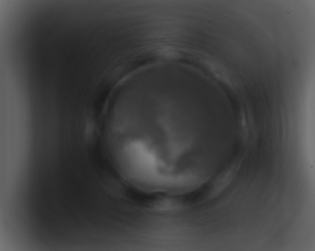 X0000100900320200807081108