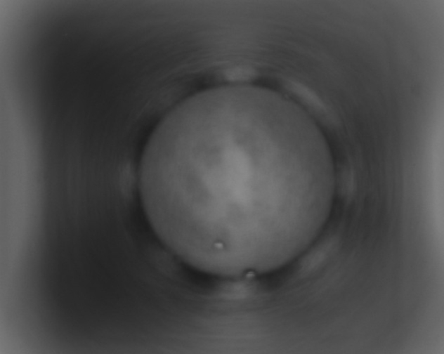 X0000100900321200807081108