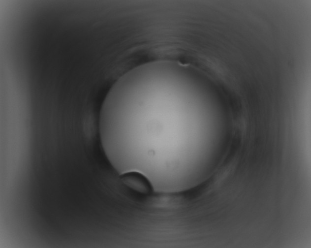 X0000100900323200807081108