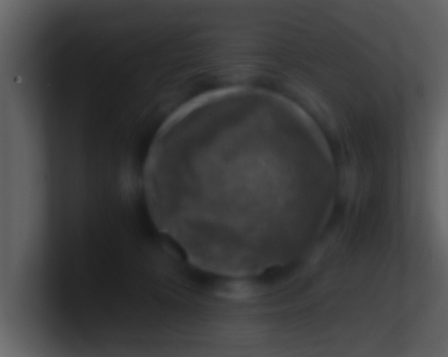 X0000100900324200807081108