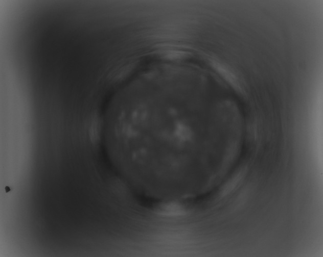 X0000100900325200807081108