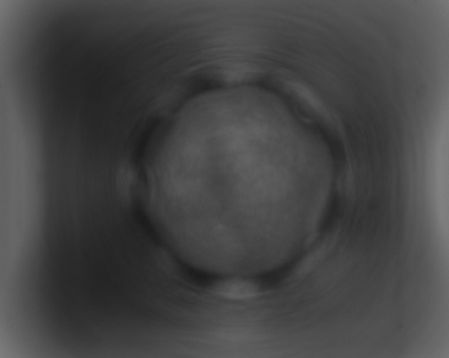 X0000100900327200807081108