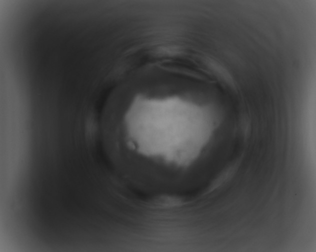 X0000100900328200807081108