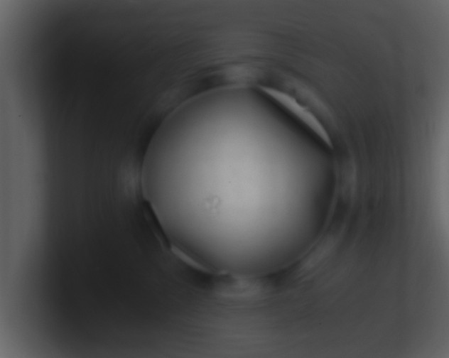 X0000100900329200807081108