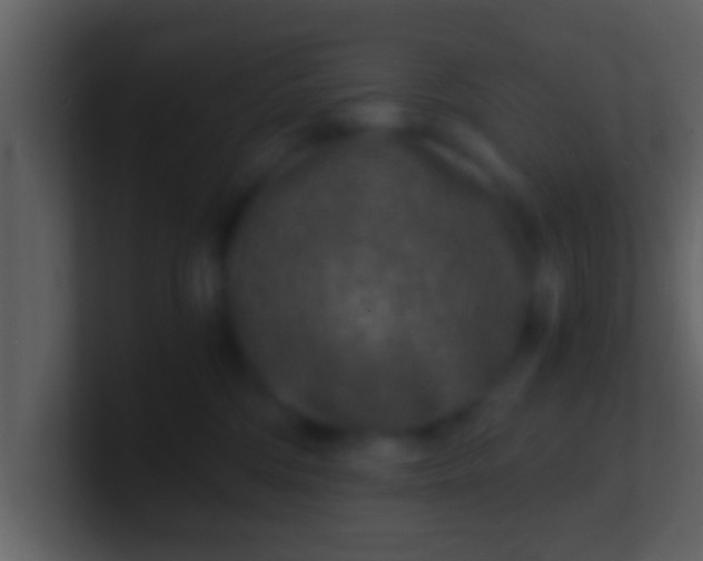 X0000100900330200807081108