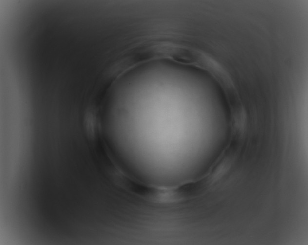 X0000100900333200807081108