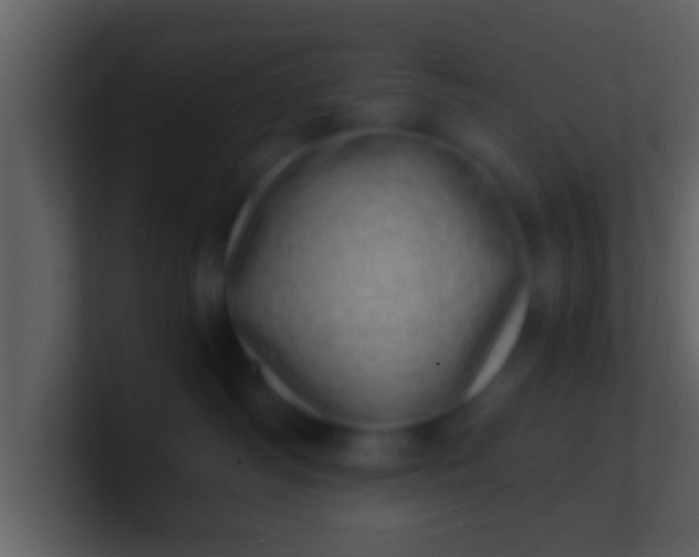 X0000100900334200807081108