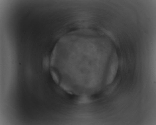 X0000100900335200807081108