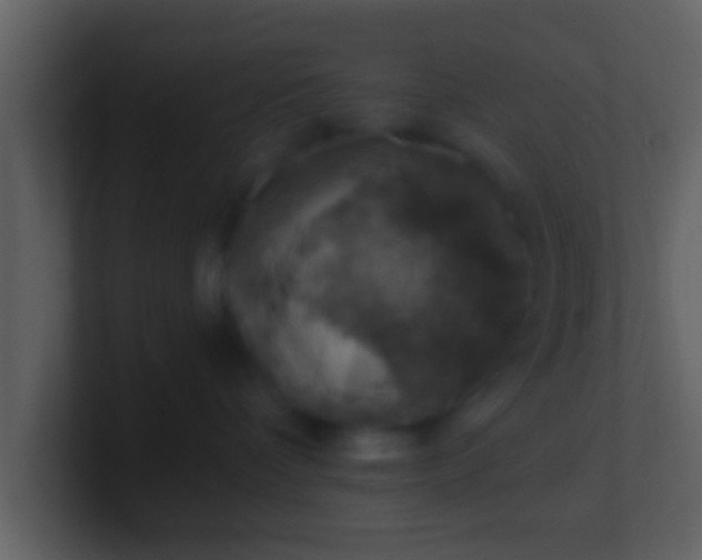 X0000100900336200807081108