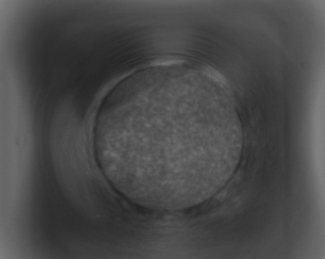 X0000100900337200807081107