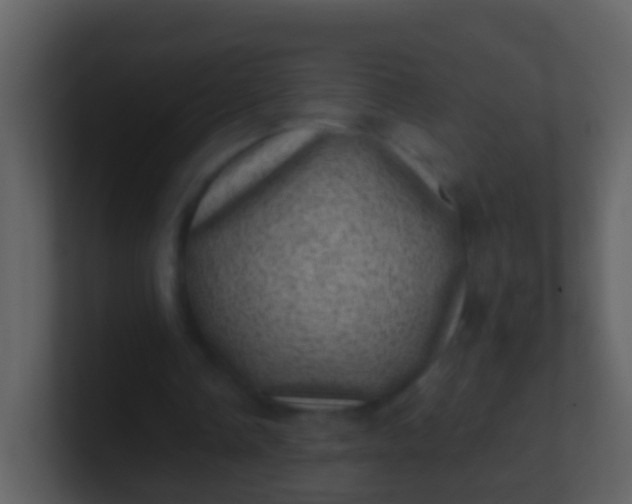 X0000100900338200807081107