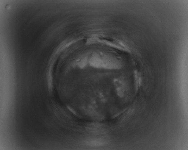 X0000100900339200807081107