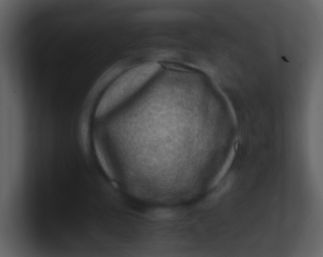 X0000100900341200807081107