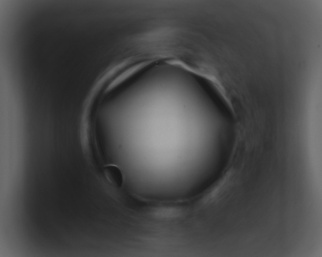 X0000100900342200807081107