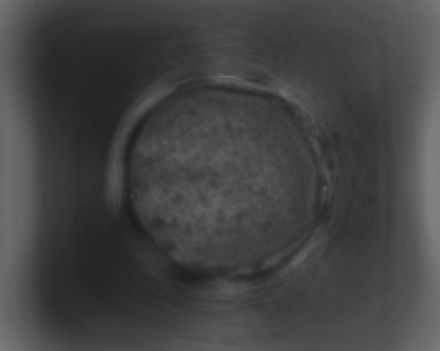 X0000100900343200807081107