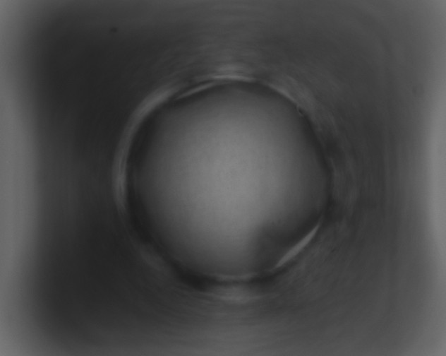 X0000100900344200807081107