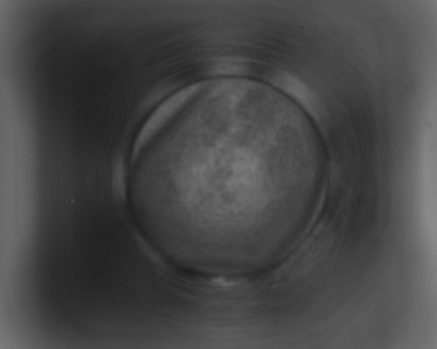 X0000100900345200807081107