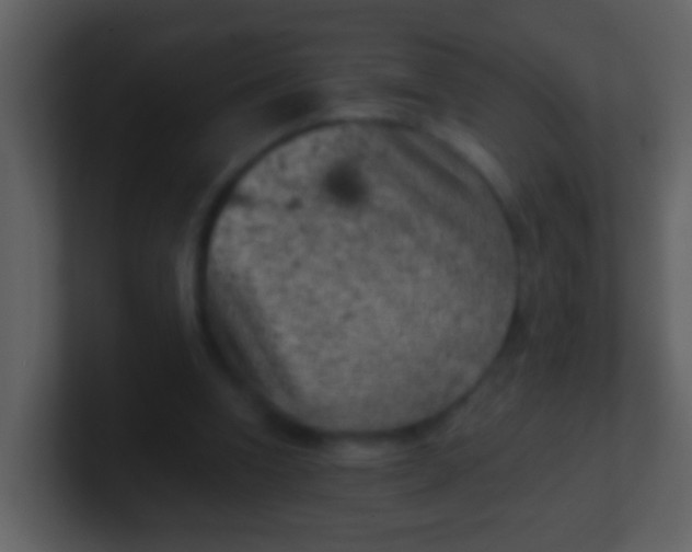 X0000100900346200807081107