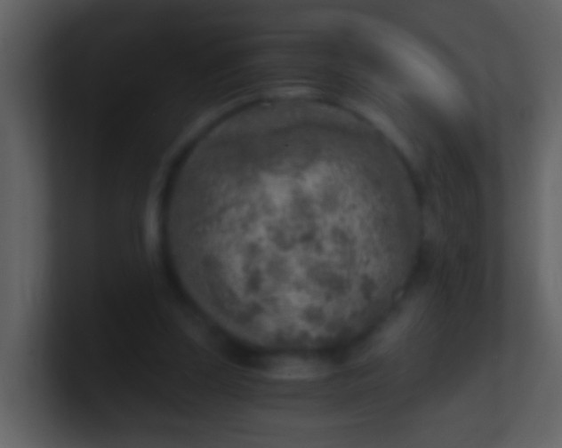 X0000100900347200807081107