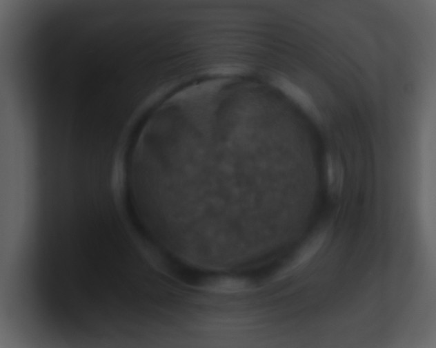 X0000100900348200807081107