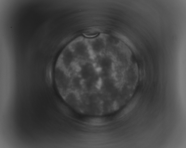 X0000100900349200807081107