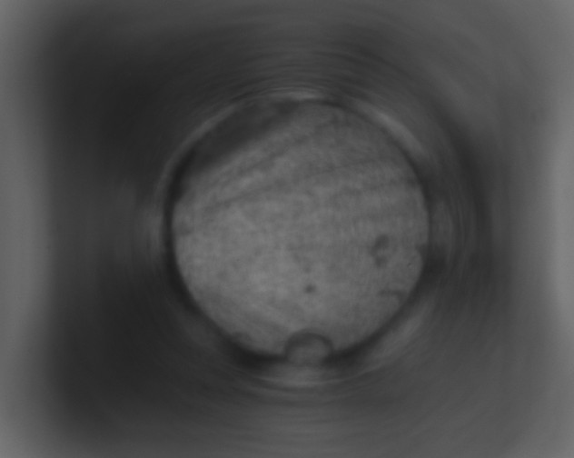 X0000100900351200807081107