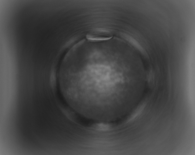 X0000100900352200807081107