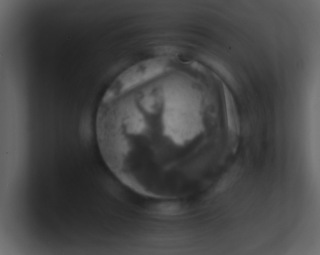 X0000100900353200807081107