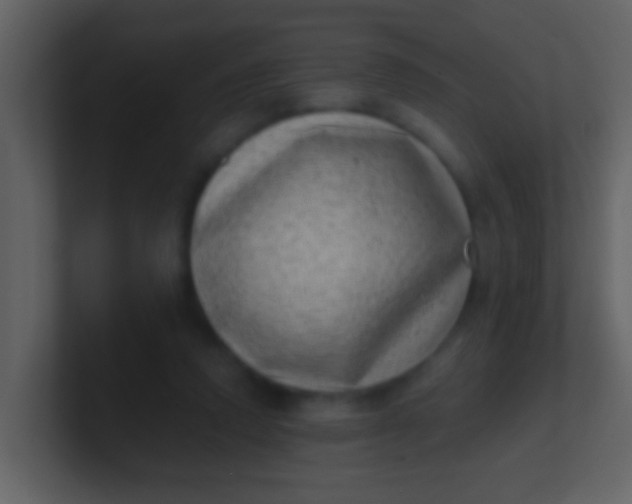 X0000100900354200807081107