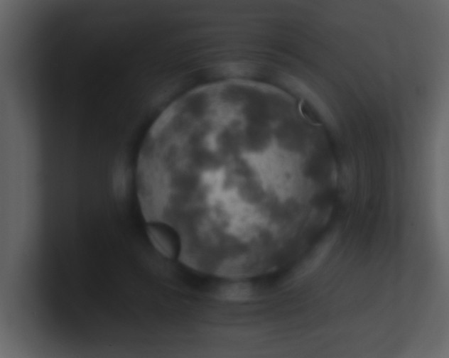 X0000100900355200807081107