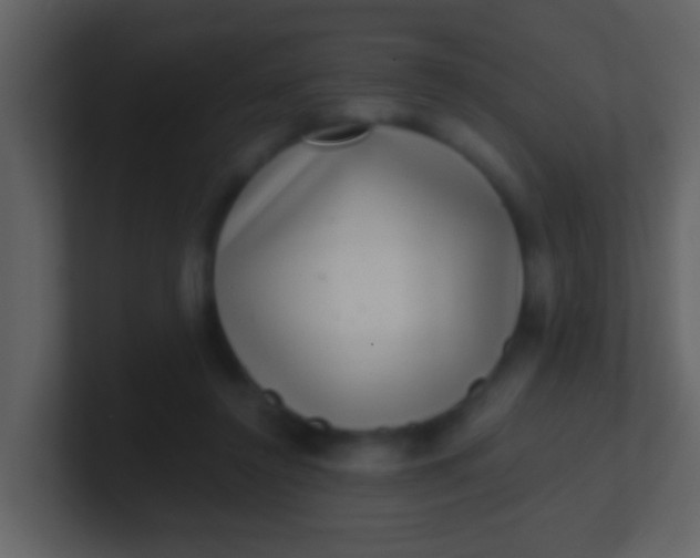 X0000100900356200807081107