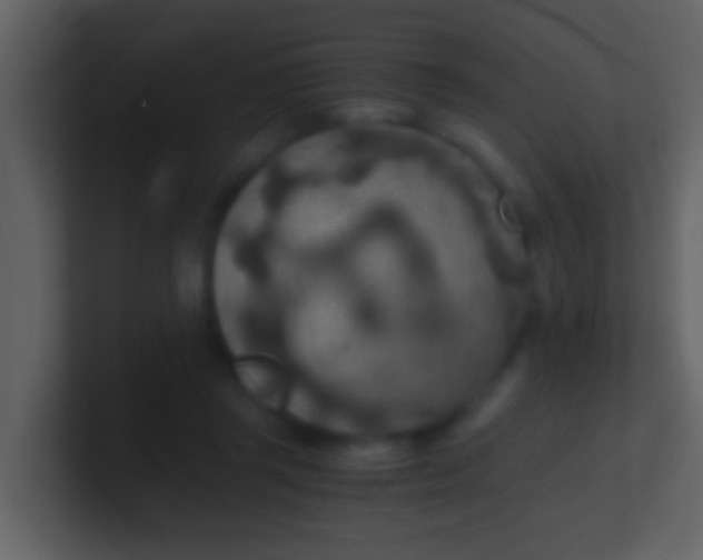 X0000100900357200807081108