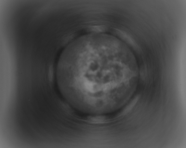 X0000100900359200807081108