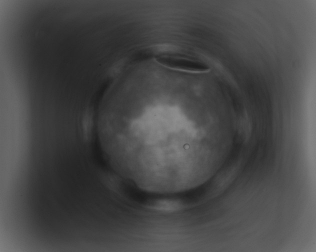 X0000100900360200807081108