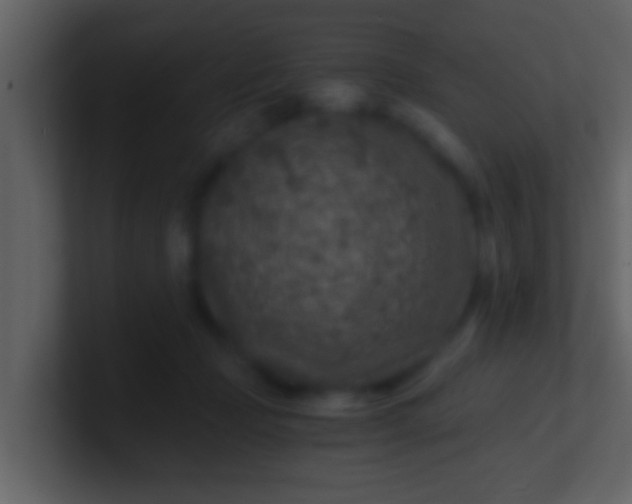 X0000100900365200807081108