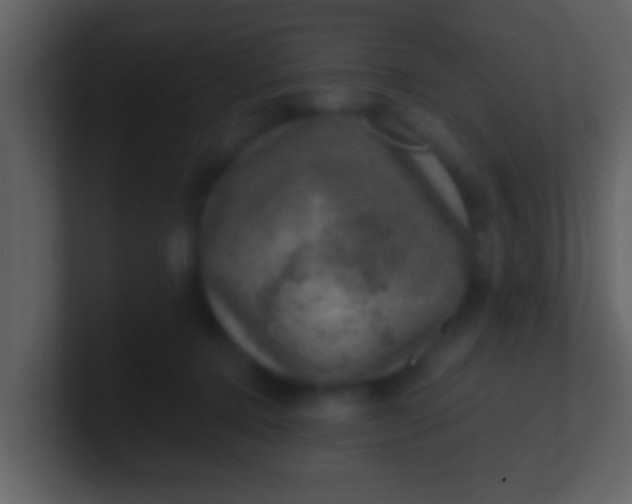 X0000100900368200807081108