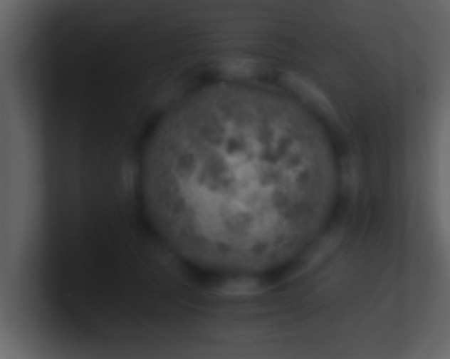 X0000100900369200807081108