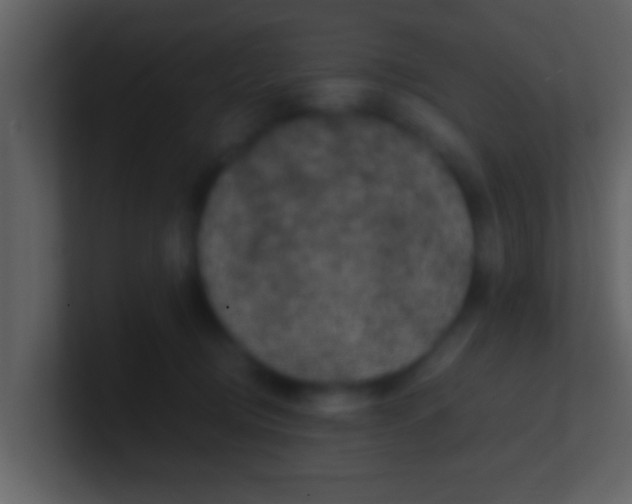 X0000100900370200807081108