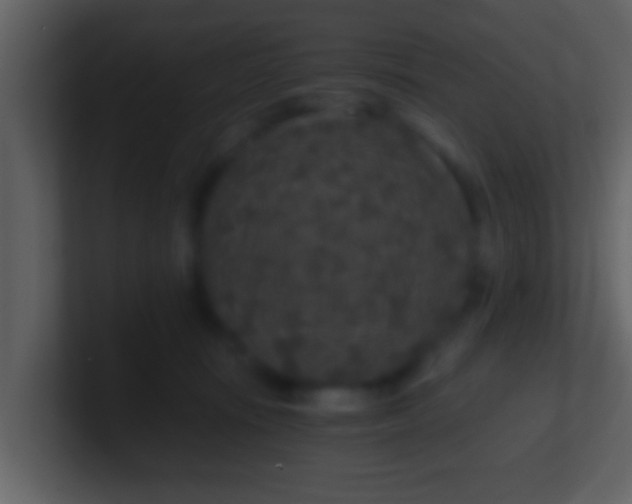 X0000100900371200807081108