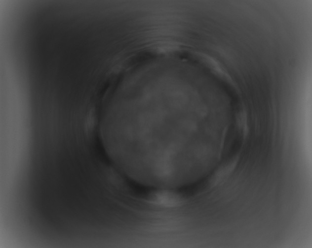 X0000100900372200807081108