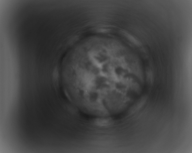 X0000100900373200807081108