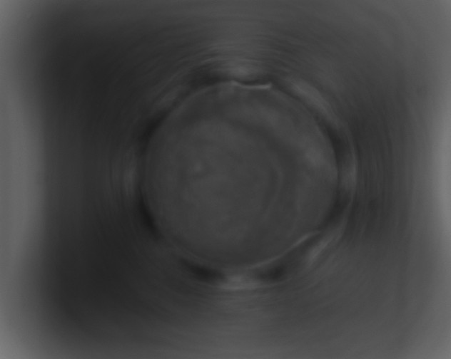 X0000100900376200807081108