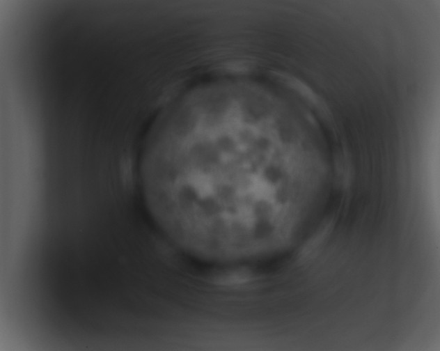 X0000100900377200807081108