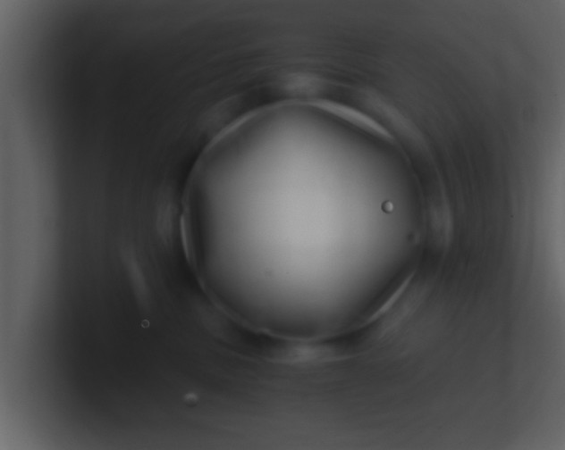 X0000100900379200807081108