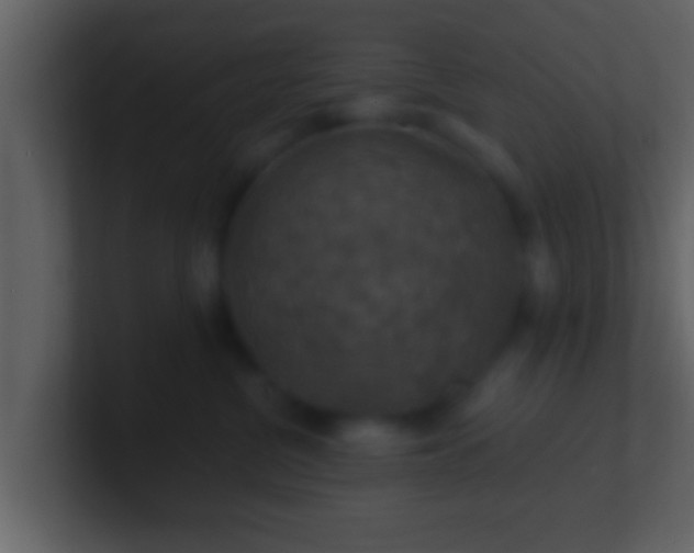 X0000100900380200807081108